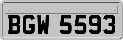 BGW5593