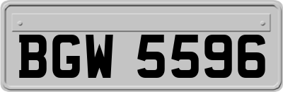 BGW5596