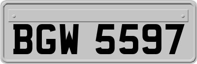 BGW5597