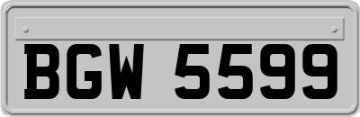 BGW5599