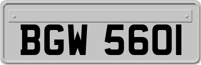 BGW5601