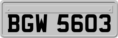 BGW5603