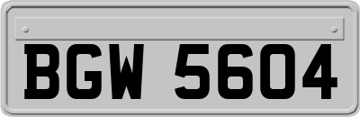 BGW5604