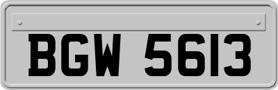 BGW5613