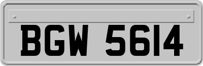 BGW5614
