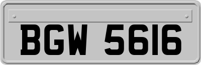 BGW5616