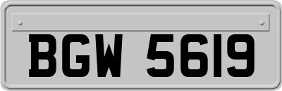 BGW5619