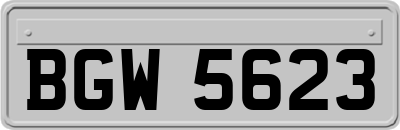 BGW5623