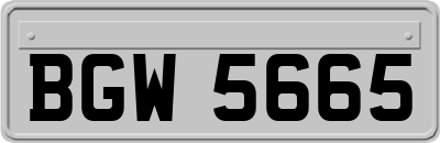 BGW5665