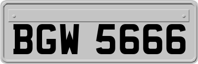 BGW5666