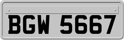 BGW5667
