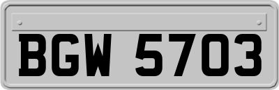 BGW5703