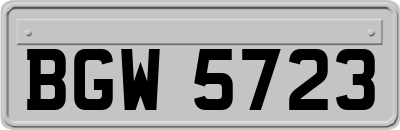 BGW5723
