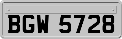 BGW5728