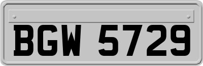 BGW5729