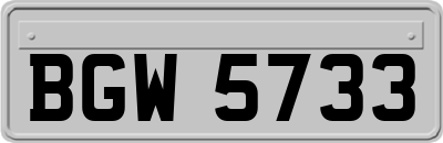 BGW5733