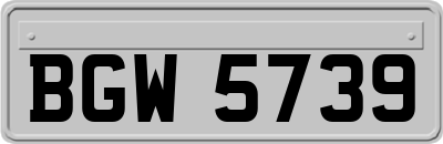 BGW5739