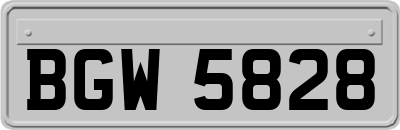 BGW5828