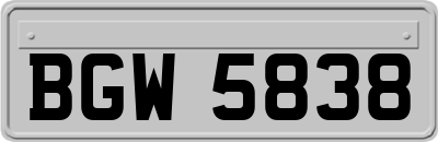 BGW5838