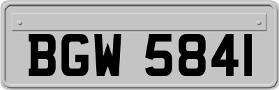 BGW5841