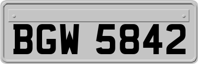 BGW5842