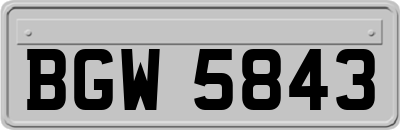 BGW5843