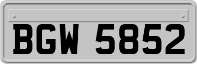 BGW5852