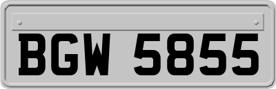 BGW5855