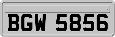 BGW5856
