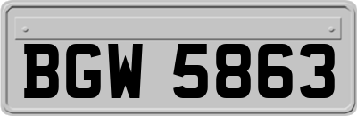 BGW5863