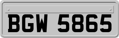 BGW5865