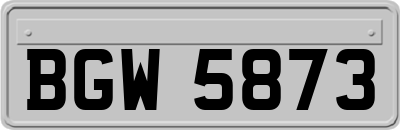 BGW5873