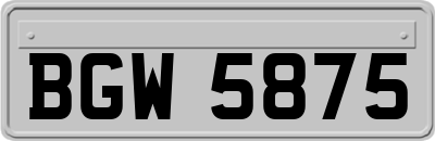 BGW5875
