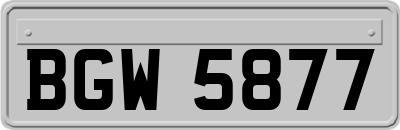BGW5877