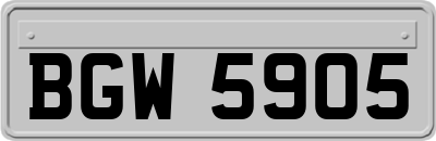 BGW5905