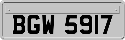 BGW5917