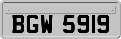 BGW5919
