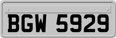 BGW5929