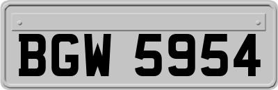 BGW5954
