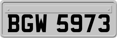 BGW5973