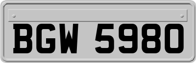 BGW5980