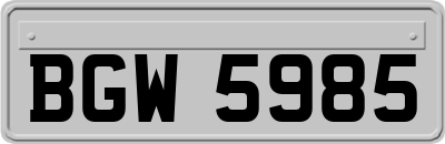 BGW5985