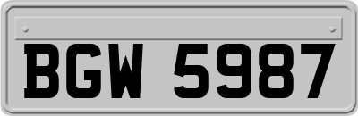 BGW5987