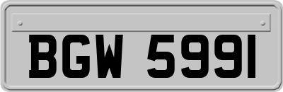 BGW5991