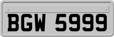 BGW5999