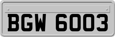 BGW6003