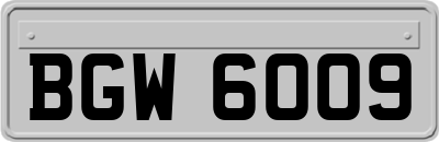 BGW6009