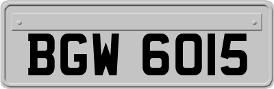 BGW6015