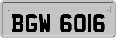 BGW6016