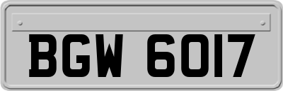 BGW6017